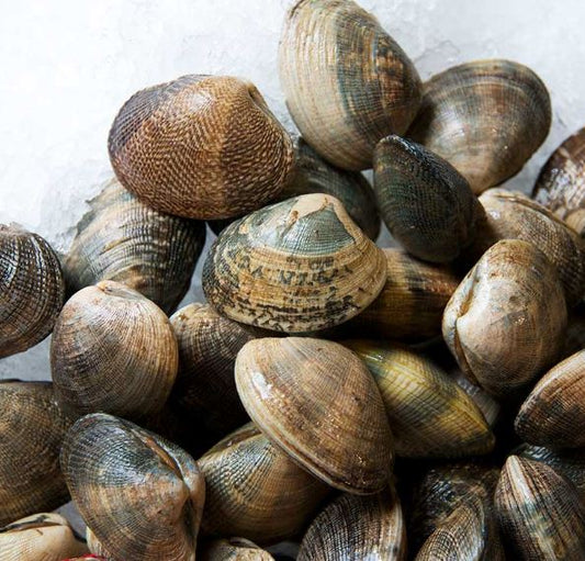 Clams, Manilla, Medium, Farmed, 20-25 Ct, 10 Lbs Case, Fresh, Ref