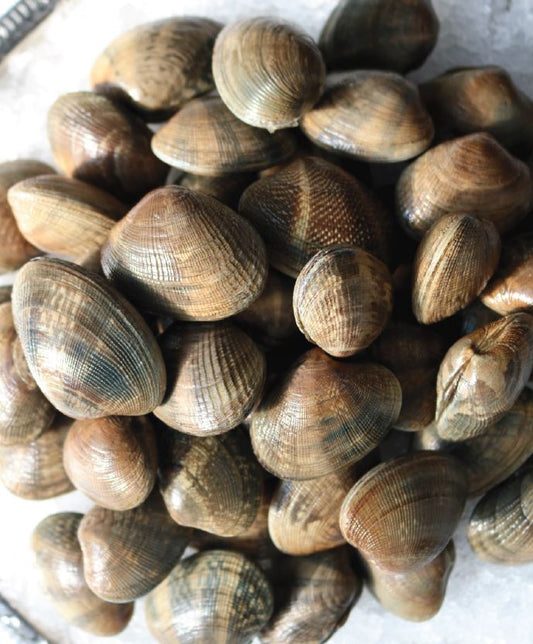 Clams, Manilla, Small, Farmed, 25-30 Ct, 10 Lbs Case, Fresh, Ref