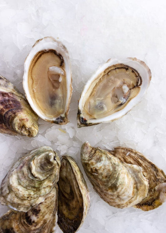 Oysters, Pink Lady, In Shell, Farmed, 100 Ct, Fresh, Ref