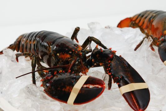 Lobster, Live, New England, 1 3/4# Ea, Appx 14 Per Cs, 25# Cs