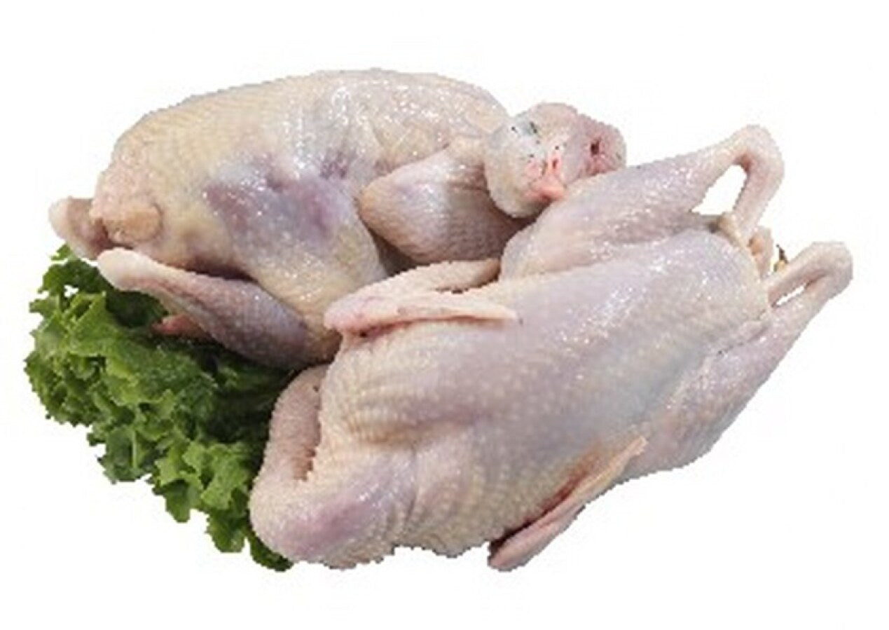 Whole Partridge - 10 x 16 Oz Avg