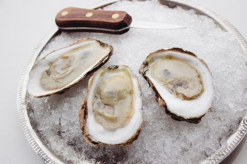 Oysters, Bluepoint, 100 Ct, 20# Cs, 24Hr Lead, Ref