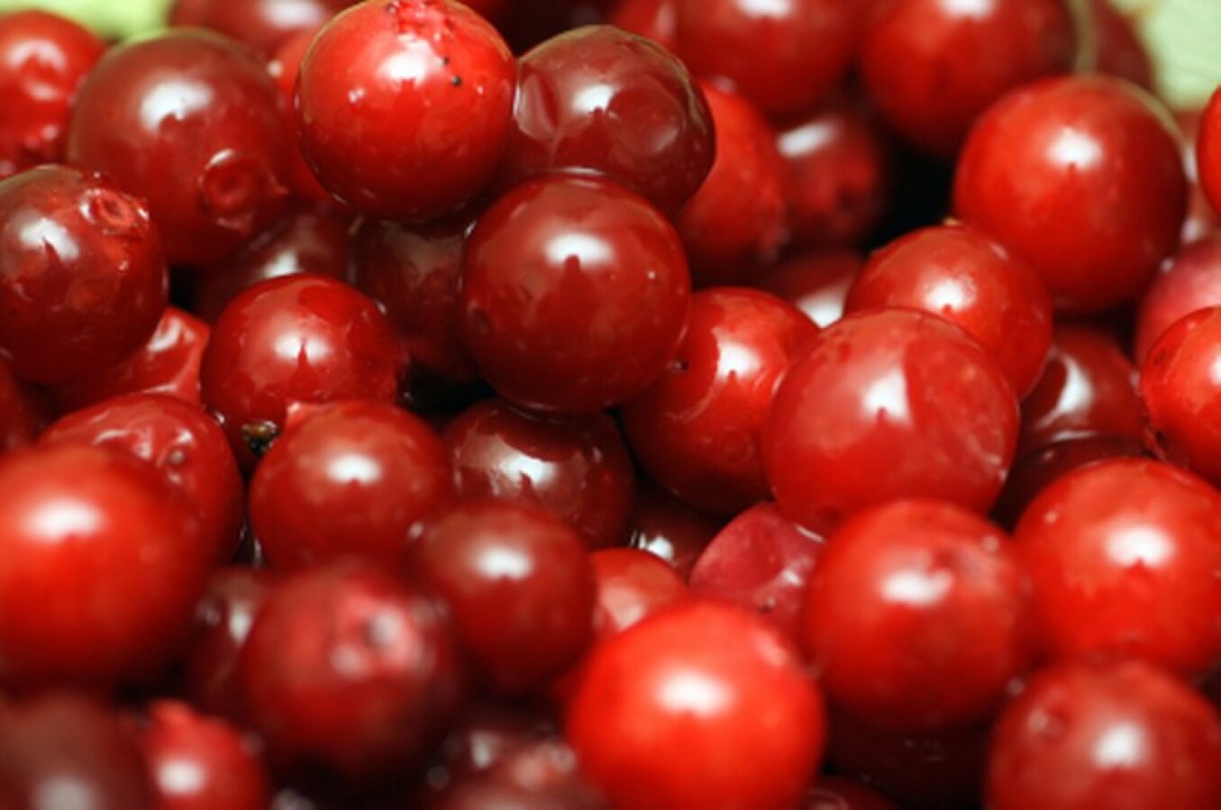 Berries, Lingonberries, Wild, Canada, 5# Unit, Frozen