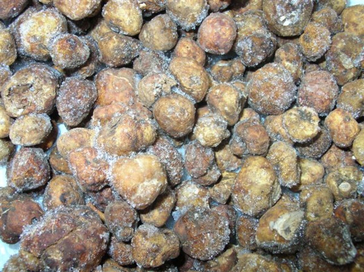 Truffle, White, Oregon, 1# Frozen