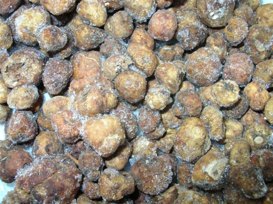 Truffle, White, Oregon, 1# Frozen