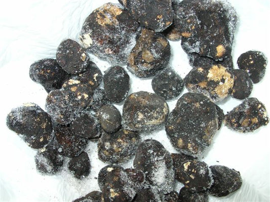 Truffle, Black, Oregon, 1# Frozen