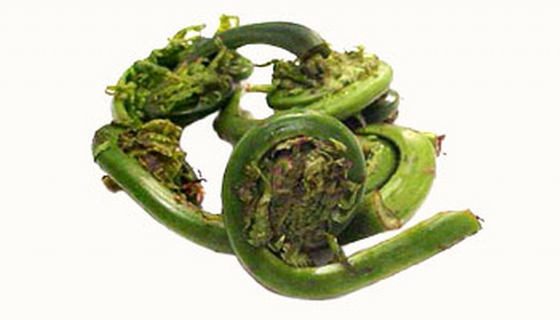 Ferns, Fiddlehead, Wild, Canada, 5# , Frozen