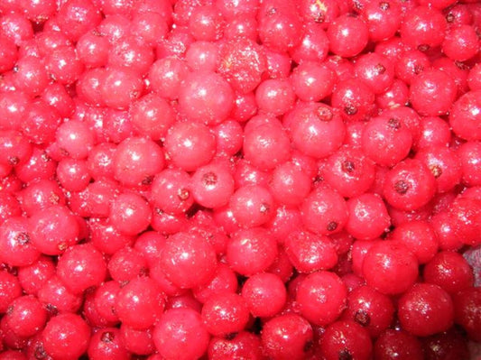 Currants, Red, Organic, 5# Unit, Frozen