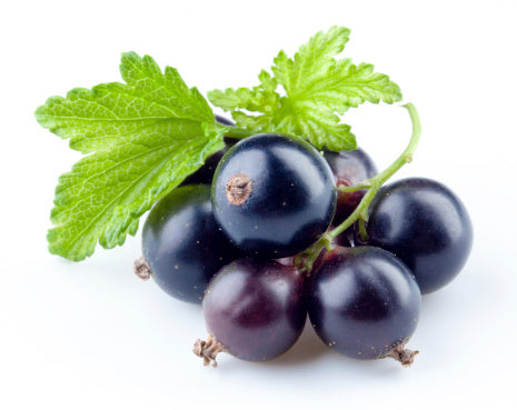 Currants, Black, Organic, 5# Unit, Frozen