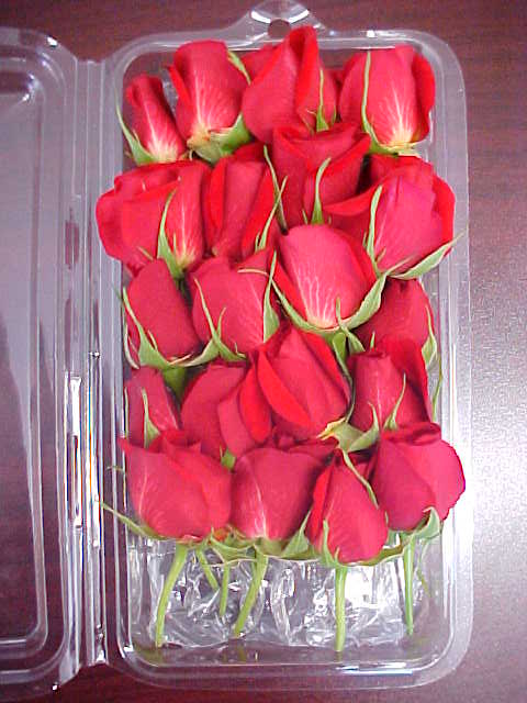 Flower, Baby Roses, 4 x 20 Count, Avg 1 #